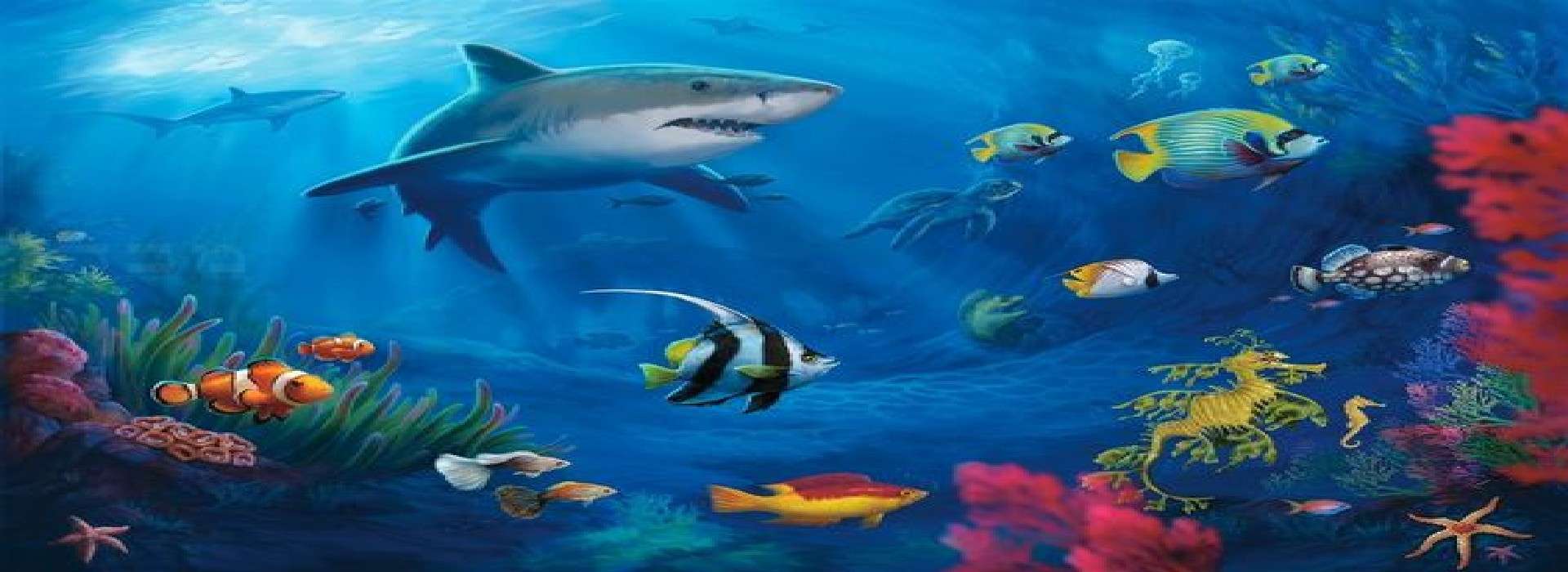 Slider d'images de l'animation Visio animation  3/8 ans  1 heure "sous l 'océan"
